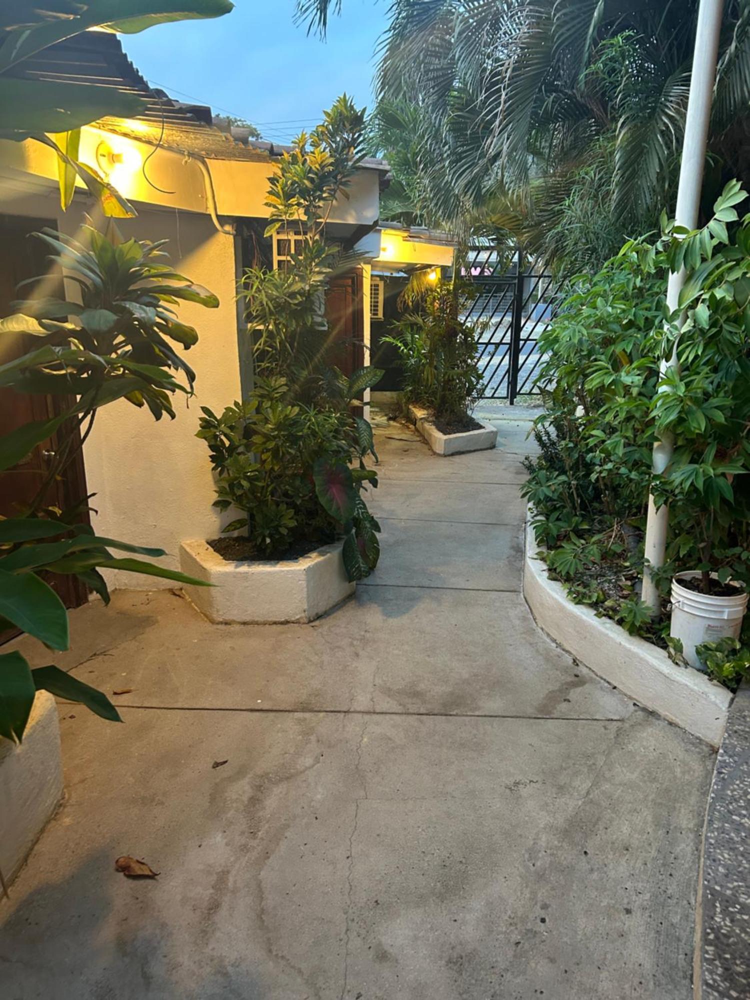 Pura Vida Hostel Tamarindo Exterior photo